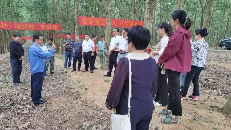 全國割膠冠軍張健給各單位學(xué)員做標(biāo)準(zhǔn)化膠園建設(shè)及割膠技術(shù)的經(jīng)驗(yàn)介紹。.jpg